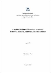 Küçük Resim
